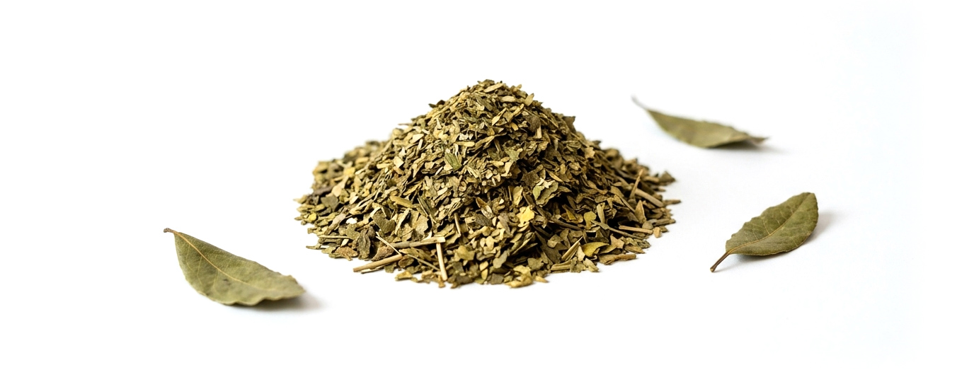 Beneficios de tomar Yerba Mate